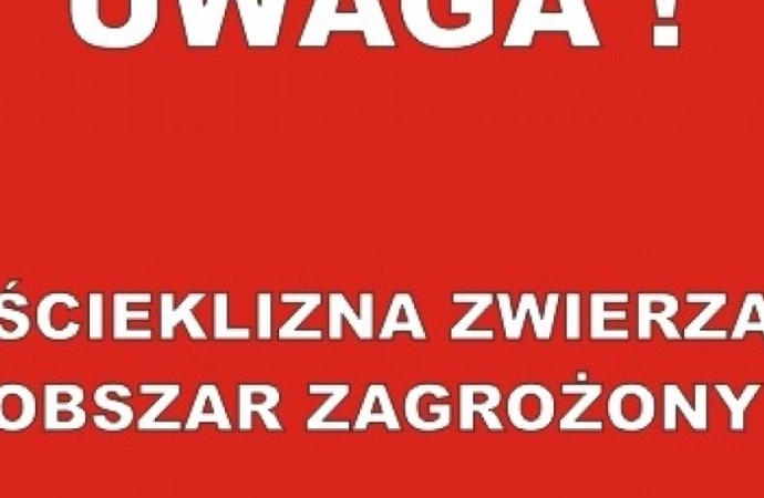 {W powiecie ostródzkim znaleziono nietoperza zakażone wścieklizną.}